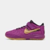 Little Kids' Nike LeBron 20 SE Stretch Lace Basketball Shoes Vivid Purple/Metallic Gold/Black - FD0208 500 -Default Template 7 FD0208 500 P1
