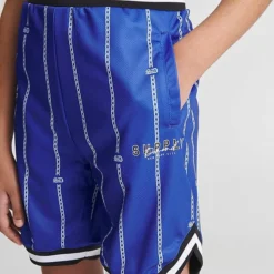 Boys' Supply & Demand Pinstripe Basketball Shorts Blue - SUJ16558 101 12 Boys' Supply & Demand Pinstripe Basketball Shorts Blue - SUJ16558 101 -Default Template 7 SUJ16558 101 M5